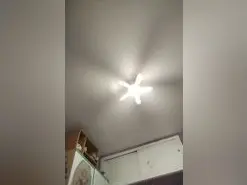 Amateur Live Sex of Mimidulce