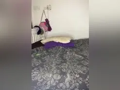 Amateur Live Porn of TittyMonroe