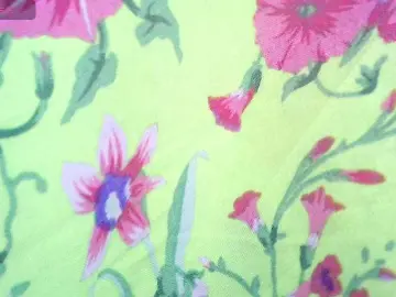 Bongacams Adult Webcam of -WINNI-PUX-