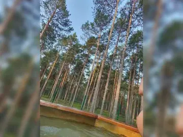 Bongacams Free Porn Cam of Jonneb