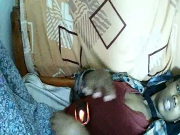 Bongacams Private Sex Chat of Sexy-Sarah