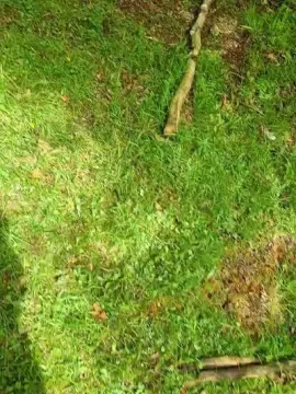 Cam4 Sex Cam of DePamplona2