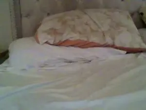 Cam4 Adult Webcams of estet11