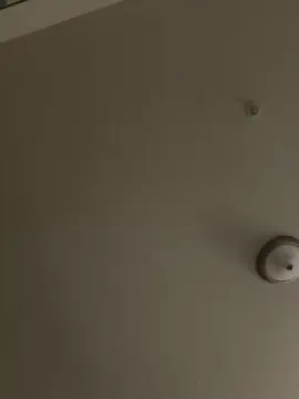 Cam4 Free Porn Cam of bubblegumpussy2