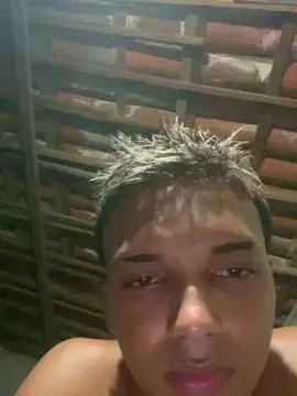 Cam4 Best Webcam of Vini18cm_novin