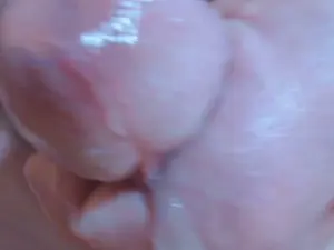 Cam4 Free Porn Cam of impalely_back
