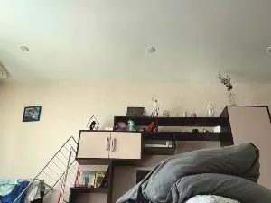 Cam4 Sex Chat of AracelisMotl