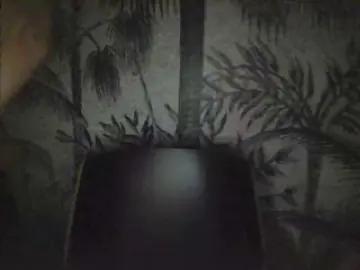 Cam4 Best Webcam of zpierre74