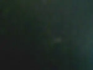 Cam4 Adult Webcam of LauPet_Nacho