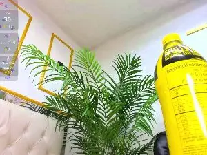 Cam4 Live Sex of Miranda_Vega
