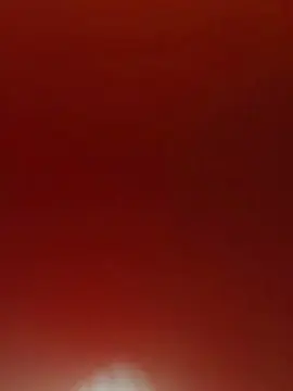 Cam4 Live Porn of Ham2344