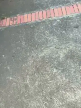 Cam4 Adult Webcam of Outdoorsd