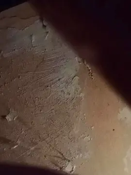 Cam4 Live Sex Cam of Slutddy