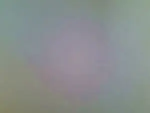 Cam4 Private Sex Chat of Fembt