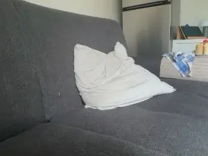 Cam4 Best live sex cam show of Roylarry