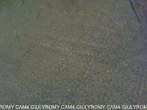 Cam4 Adult Webcam of GiulyRomy
