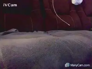 Cam4 Live Porn of dusty232