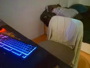 Cam4 Live Sex Cam of pvpvpv3331