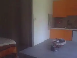 Cam4 Sex Chat of NioCelo