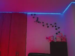 Cam4 Adult Webcam of _Hibrida_