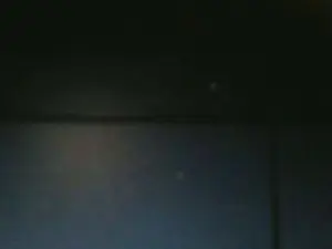 Cam4 Adult Video Chat of dfevsr