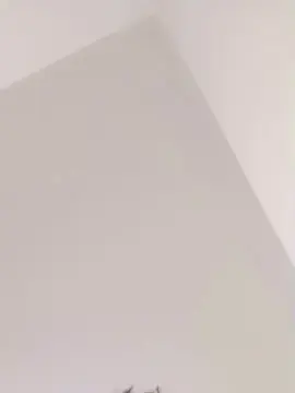 Cam4 Live Porn of Novinpauz