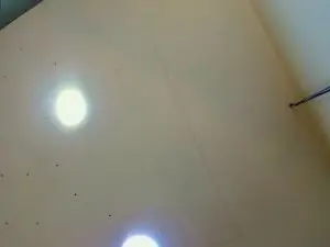 Cam4 Free Live Porn of maxim_rod