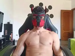 Cam4 Best Webcam of Frabroker