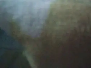Cam4 Best Webcam of wildbrdick