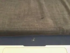 Cam4 Live Sex Cam of Jacobmi