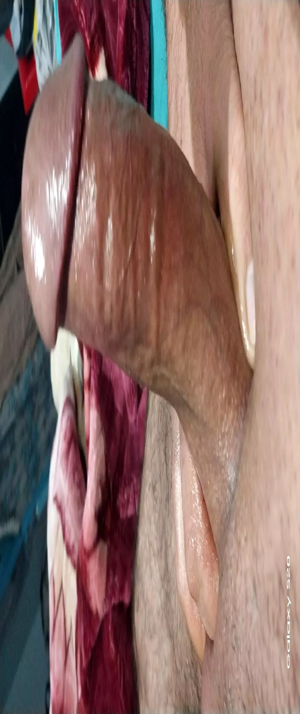 Kadoo105