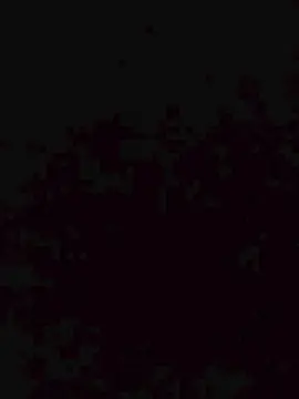 Cam4 Adult Video Chat of gabilopezxxx