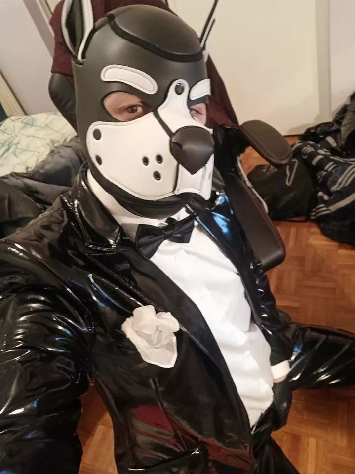 Suitedpup
