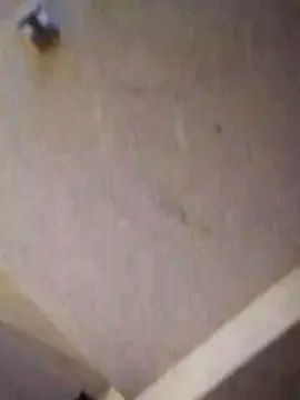 Cam4 Best live sex cam show of comedor371