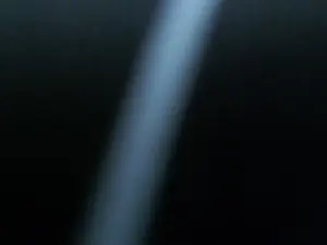 Cam4 Best Webcam of HotJames2