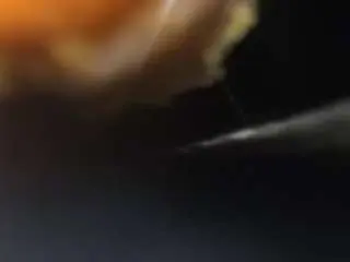 Camsoda Live Porn of legion-mac