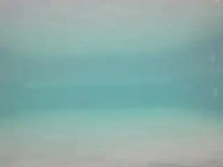 Camsoda Adult Webcam of voyeurcam-casa-salsa-pool-1