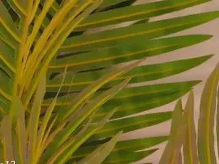 Camsoda Nude Webcam of valery-swan