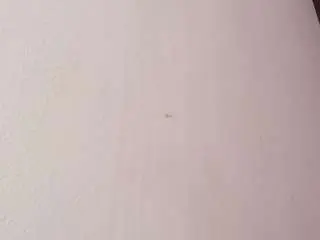 Camsoda Best Webcam of kissme-luna