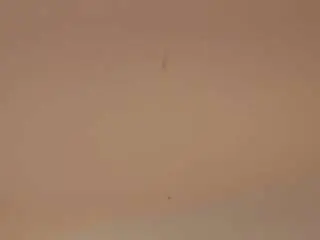 Camsoda Best live sex cam show of abigailkuntz