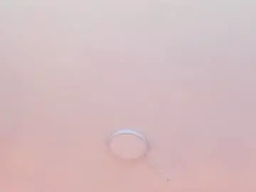 Chaturbate Free Porn Cam of scarlett_sweet9