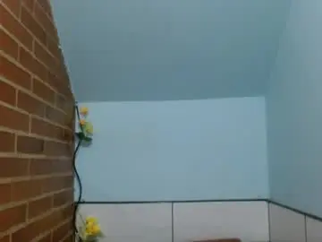 Chaturbate Live Sex Cam of liarouse04