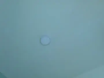 Chaturbate Best Webcam of lexadominant__