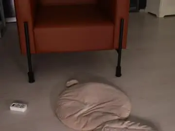 Chaturbate Live Sex Cam of seeunexttime