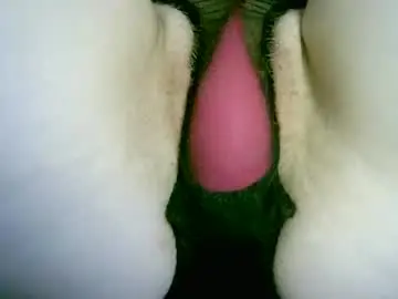 Chaturbate Best Webcam of my_tightholes