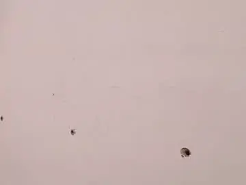 Chaturbate Free Live Porn of theyllorwillians