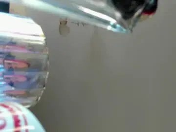 Chaturbate Sex Cam of neon_baddie