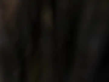 Chaturbate Adult Video Chat of meredit_lane