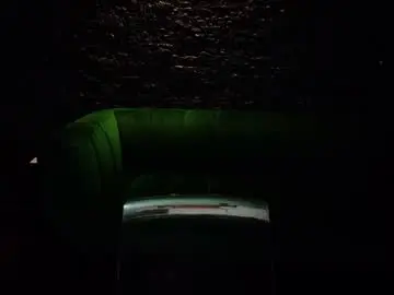 Chaturbate Live Porn of evvamonroe