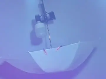 Chaturbate Live Sex of sam_naughty18